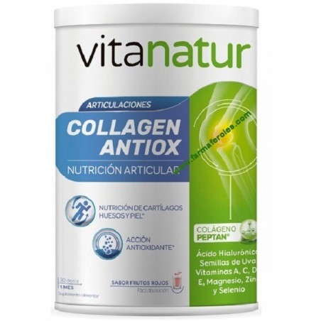 Vitanatur Collagen Antiox 360gr